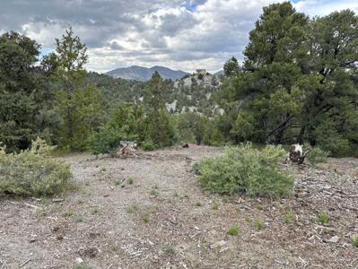 Nevada Virginia City Highlands Reno Treed Land Lot For Sale - image 12