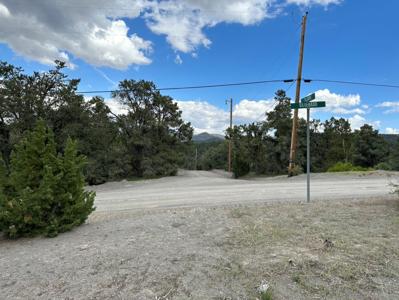 Nevada Virginia City Highlands Reno Treed Land Lot For Sale - image 13