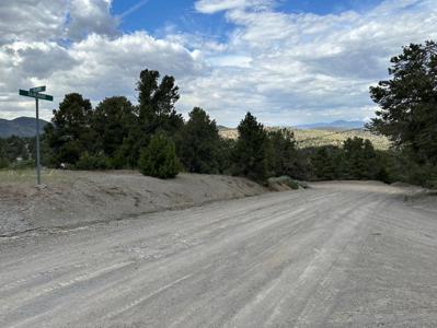 Nevada Virginia City Highlands Reno Treed Land Lot For Sale - image 10