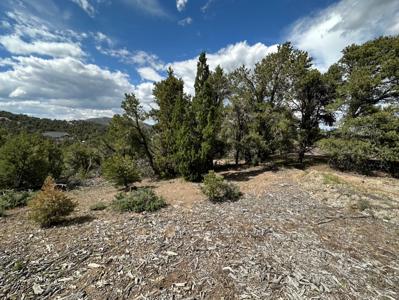 Nevada Virginia City Highlands Reno Treed Land Lot For Sale - image 9