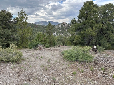 Nevada Virginia City Highlands Reno Treed Land Lot For Sale - image 7