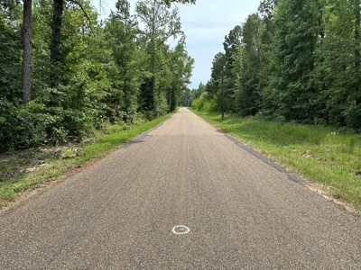 22.67 East Texas Acres For Sale Winnsboro Wood County Tx - image 4