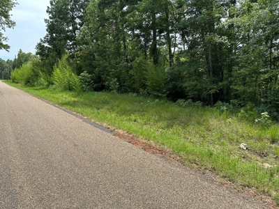 22.67 East Texas Acres For Sale Winnsboro Wood County Tx - image 5