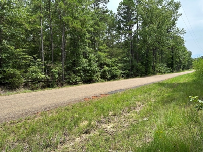 22.67 East Texas Acres For Sale Winnsboro Wood County Tx - image 6