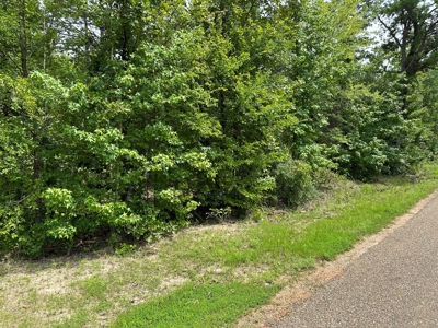 22.67 East Texas Acres For Sale Winnsboro Wood County Tx - image 3