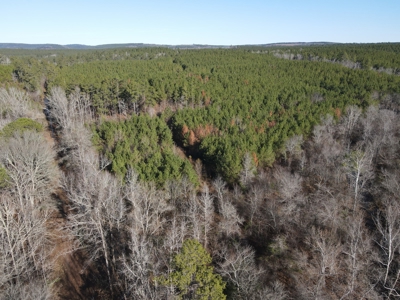 Timberland and Hunting Tract in Clark County Arkansas - image 38