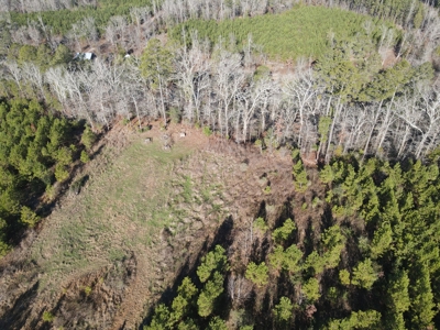 Timberland and Hunting Tract in Clark County Arkansas - image 15