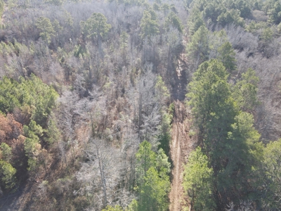 Timberland and Hunting Tract in Clark County Arkansas - image 26