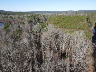 Timberland and Hunting Tract in Clark County Arkansas - image 36