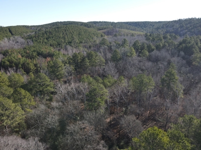 Timberland and Hunting Tract in Clark County Arkansas - image 32