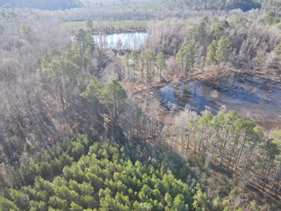 Timberland and Hunting Tract in Clark County Arkansas - image 3