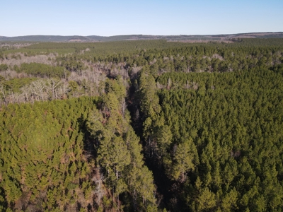 Timberland and Hunting Tract in Clark County Arkansas - image 12