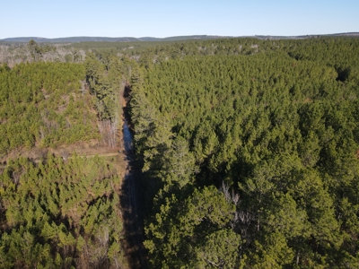 Timberland and Hunting Tract in Clark County Arkansas - image 35