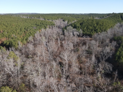 Timberland and Hunting Tract in Clark County Arkansas - image 39