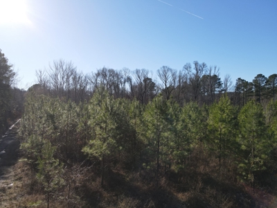 Timberland and Hunting Tract in Clark County Arkansas - image 23