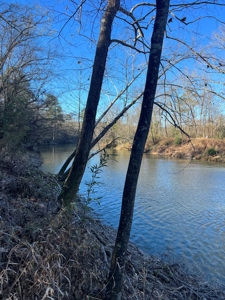 Timberland and Hunting Tract in Clark County Arkansas - image 42