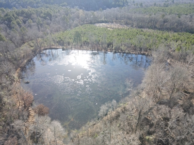 Timberland and Hunting Tract in Clark County Arkansas - image 19