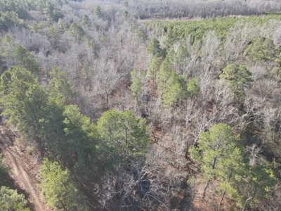 Timberland and Hunting Tract in Clark County Arkansas - image 25