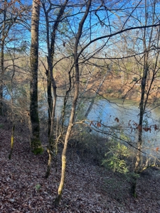 Timberland and Hunting Tract in Clark County Arkansas - image 44