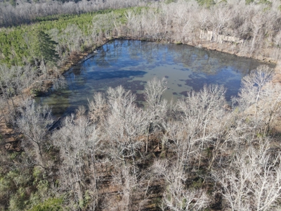 Timberland and Hunting Tract in Clark County Arkansas - image 31