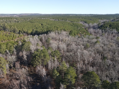 Timberland and Hunting Tract in Clark County Arkansas - image 14