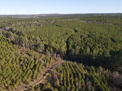 Timberland and Hunting Tract in Clark County Arkansas - image 13