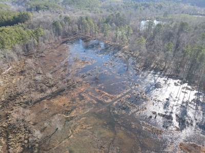 Timberland and Hunting Tract in Clark County Arkansas - image 18