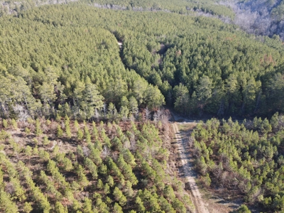 Timberland and Hunting Tract in Clark County Arkansas - image 7