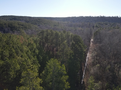 Timberland and Hunting Tract in Clark County Arkansas - image 24