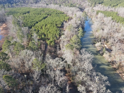 Timberland and Hunting Tract in Clark County Arkansas - image 5