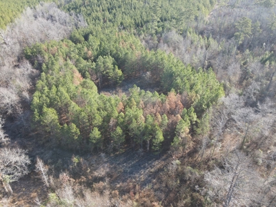 Timberland and Hunting Tract in Clark County Arkansas - image 27