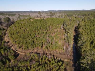Timberland and Hunting Tract in Clark County Arkansas - image 40