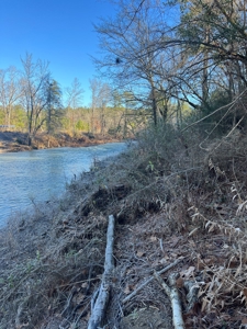 Timberland and Hunting Tract in Clark County Arkansas - image 43