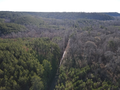 Timberland and Hunting Tract in Clark County Arkansas - image 17