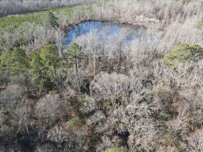 Timberland and Hunting Tract in Clark County Arkansas - image 30
