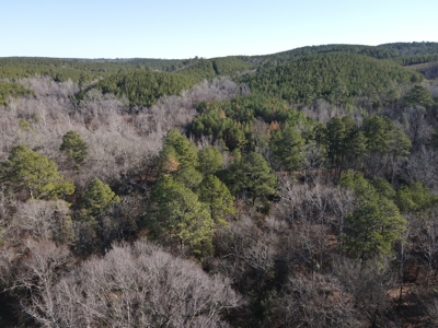 Timberland and Hunting Tract in Clark County Arkansas - image 33