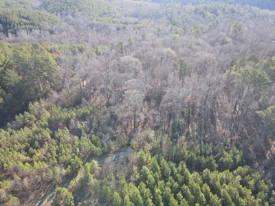 Timberland and Hunting Tract in Clark County Arkansas - image 6