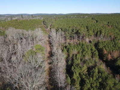 Timberland and Hunting Tract in Clark County Arkansas - image 37
