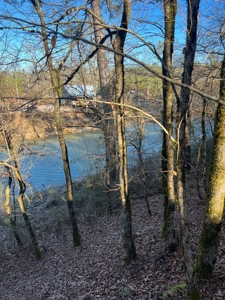 Timberland and Hunting Tract in Clark County Arkansas - image 45