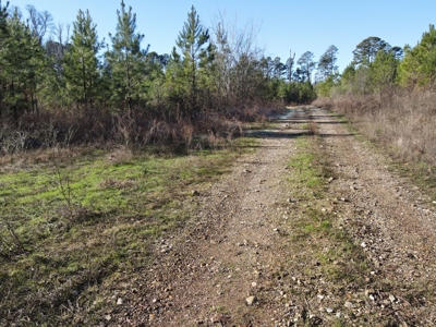 Timberland and Hunting Tract in Clark County Arkansas - image 41