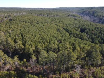 Timberland and Hunting Tract in Clark County Arkansas - image 20