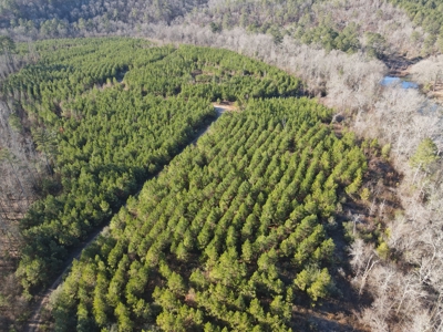 Timberland and Hunting Tract in Clark County Arkansas - image 10