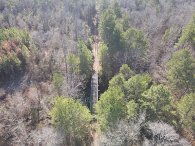 Timberland and Hunting Tract in Clark County Arkansas - image 29