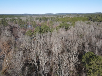 Timberland and Hunting Tract in Clark County Arkansas - image 34