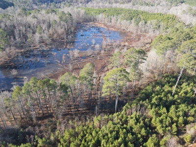 Timberland and Hunting Tract in Clark County Arkansas - image 4