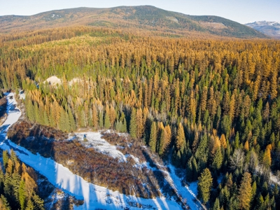 Over 9 acres to call your own in the Yaak! - image 5