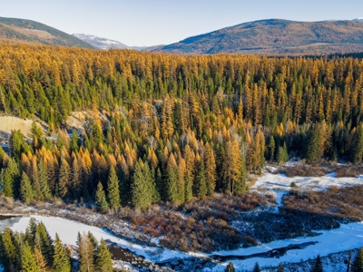 Over 9 acres to call your own in the Yaak! - image 6