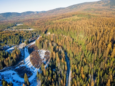 Over 9 acres to call your own in the Yaak! - image 4