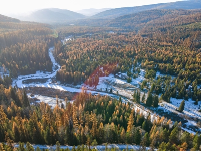 Over 9 acres to call your own in the Yaak! - image 9