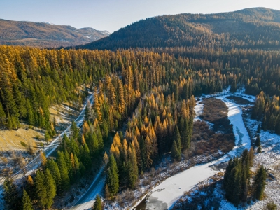 Over 9 acres to call your own in the Yaak! - image 7